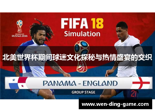 北美世界杯期间球迷文化探秘与热情盛宴的交织