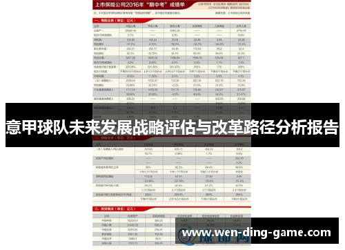 意甲球队未来发展战略评估与改革路径分析报告