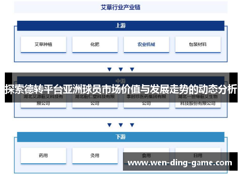 探索德转平台亚洲球员市场价值与发展走势的动态分析