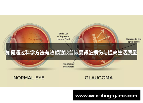 如何通过科学方法有效帮助波普恢复肾脏损伤与提高生活质量