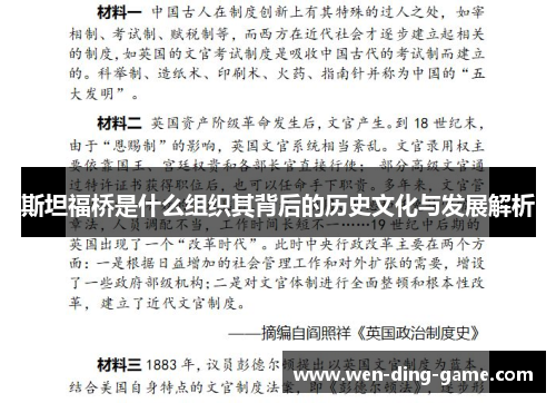 斯坦福桥是什么组织其背后的历史文化与发展解析