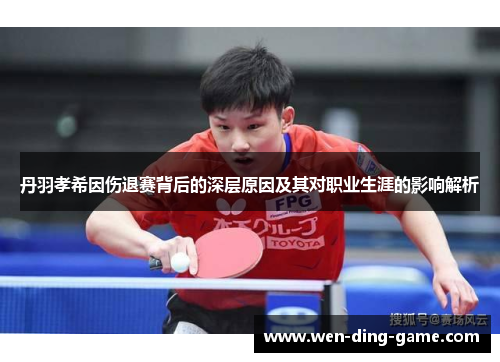 丹羽孝希因伤退赛背后的深层原因及其对职业生涯的影响解析